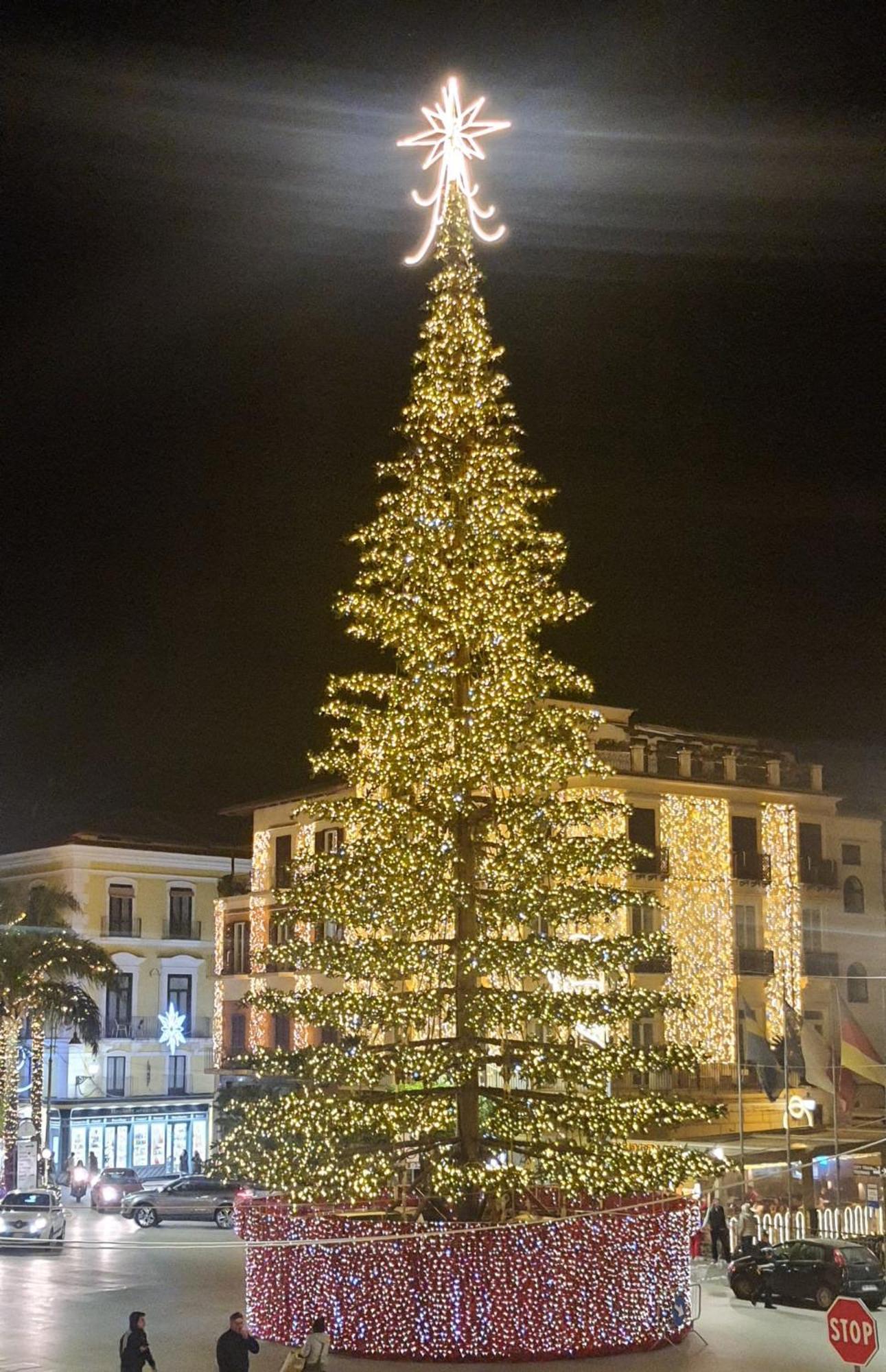 La Coccinella Sorrentoヴィラ エクステリア 写真